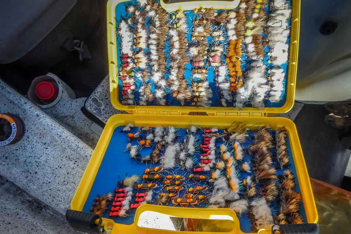 Big flies often rule the roost in Patagonia. 