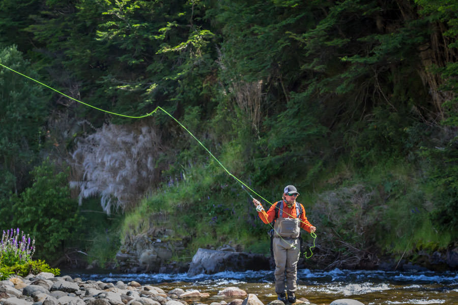 Billy site casting to a pod of rainbows aggressively feeding on a thick mayfly hatch