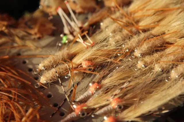 bahamas bonefish flies