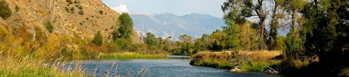 East Gallatin fishing report