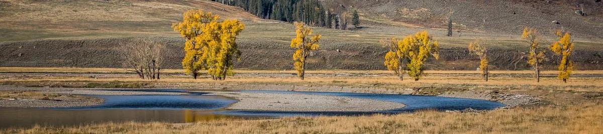 Yellowstone National Park Fishing