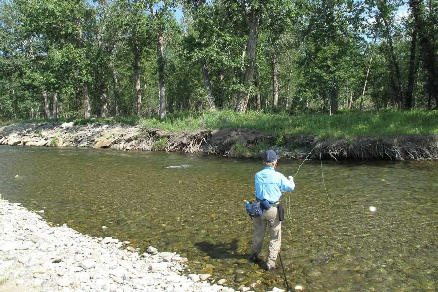 A small, clear Montana stream. Perfect water for a light fly rod and a few dry flies.