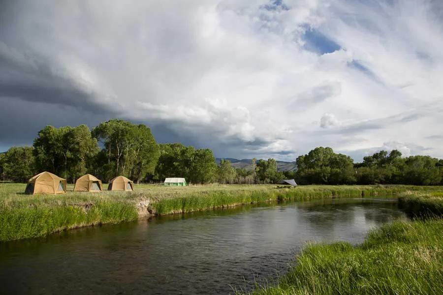 Montana Angler, Montana Fishing Trips