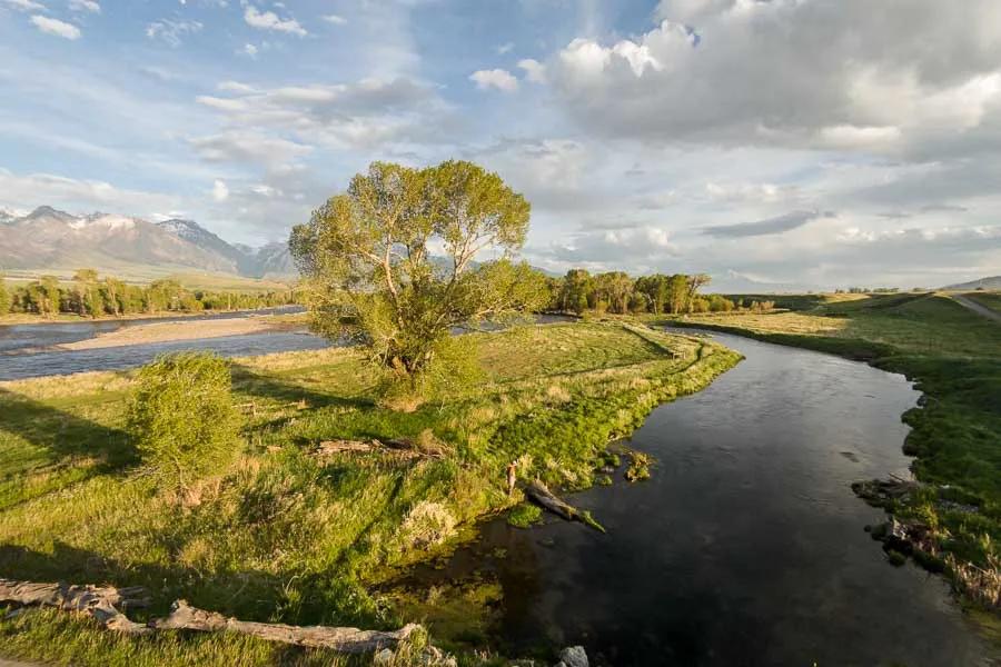 Depuy's spring creek Livingston Montana