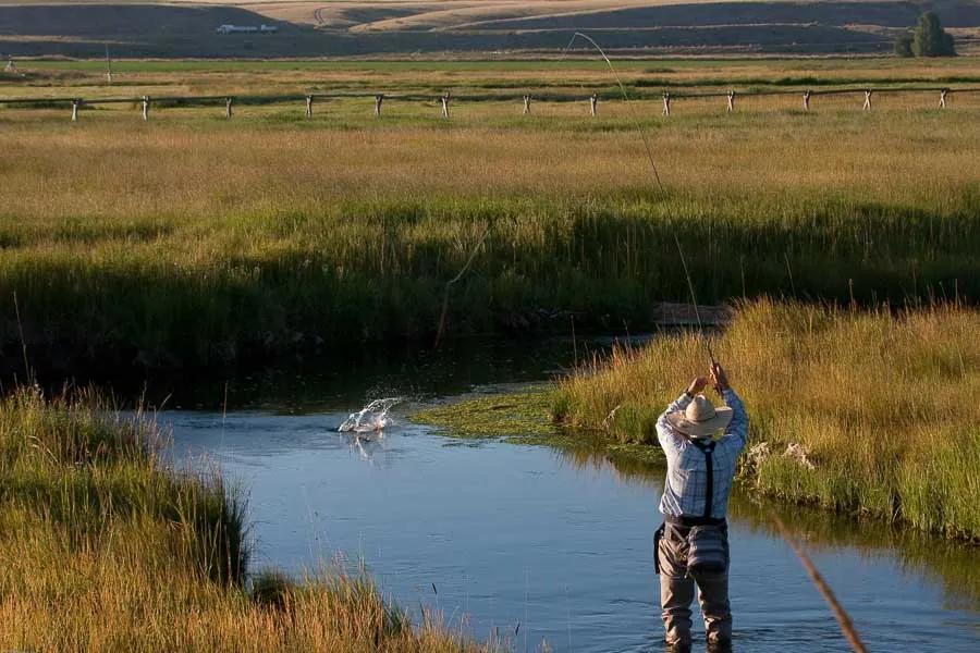 montana fly fishing