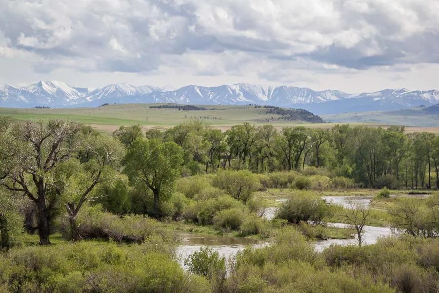 Fishing Montana's Musselshell River