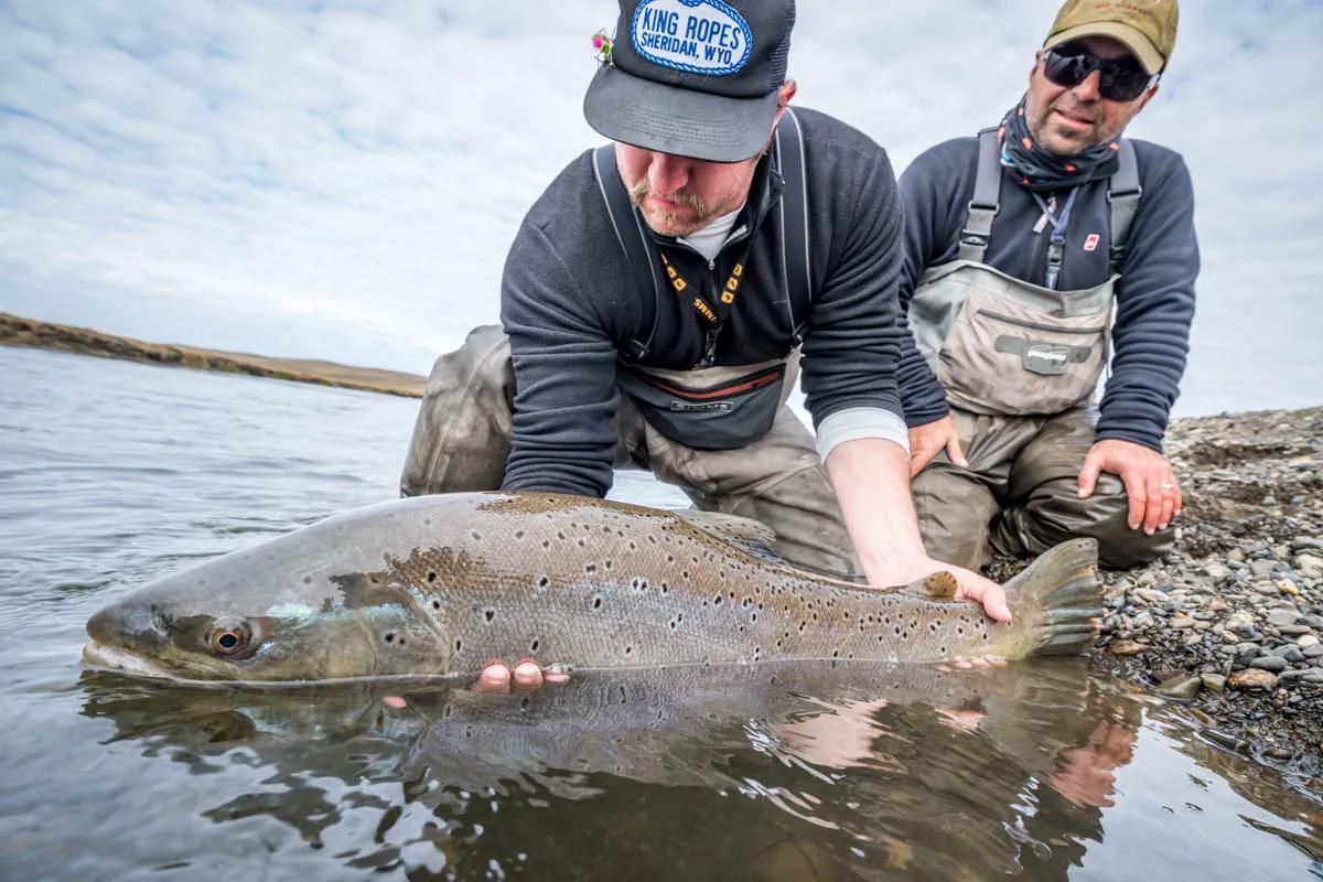 The Río Grande's sea-run brown trout are some of the largest on the planet