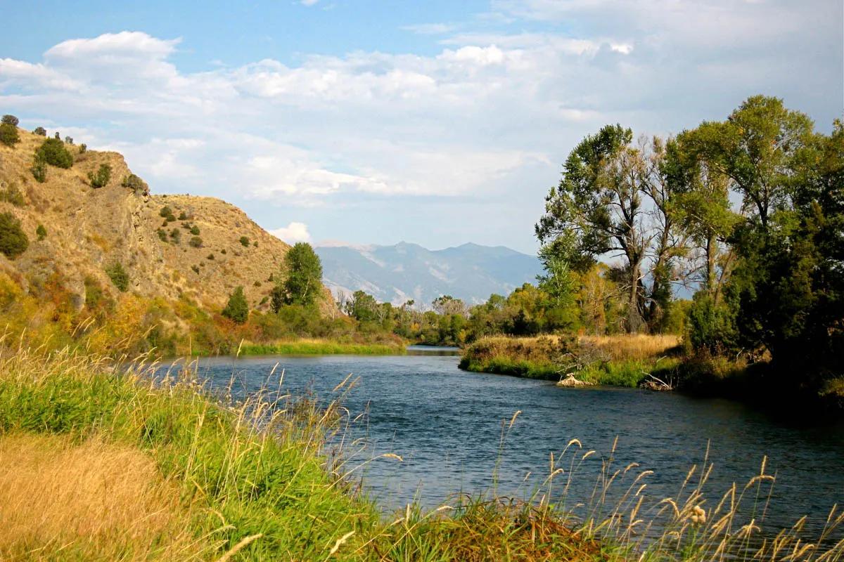 August fly fishing on the East Gallatin River Grasshoppers and terrestrials become increasingly important food sources for trout on the East Gallatin River during the month of August