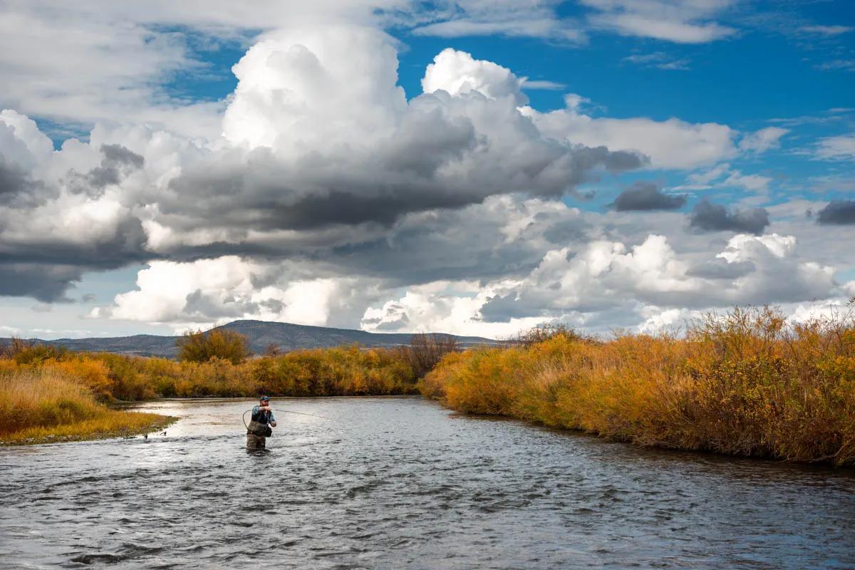 October fly fishing on the East Gallatin River Blue Winged Olive hatches and aggressive brown trout make the East Gallatin a good place to fish in October