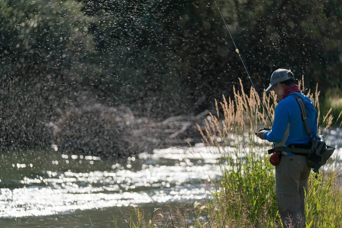 August fly fishing on the Ruby River The Trico mayfly hatch on the Ruby River in August is the stuff of angler's dreams