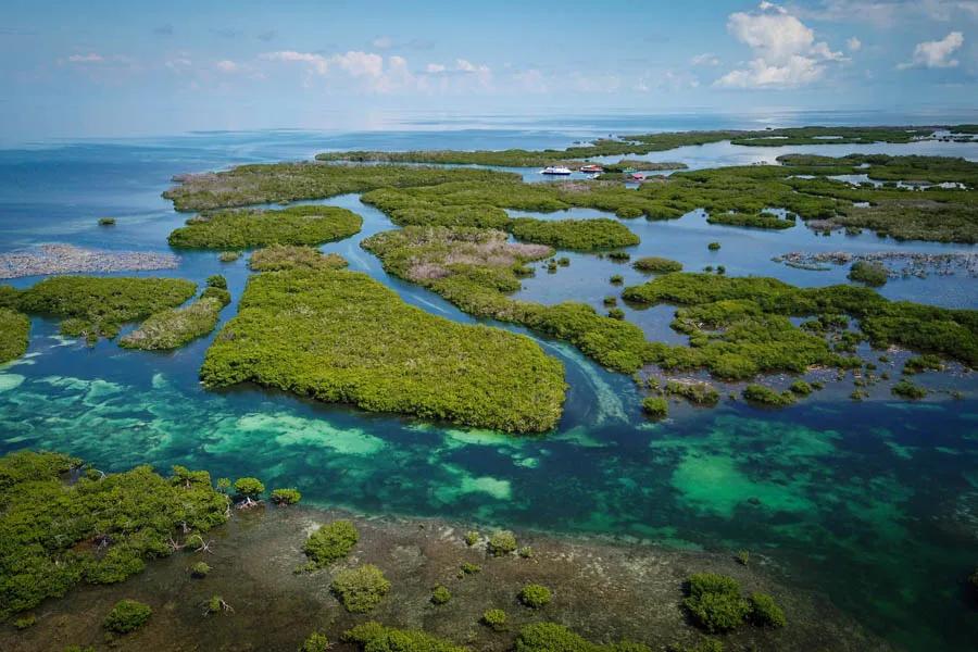 Cuba fishing trip