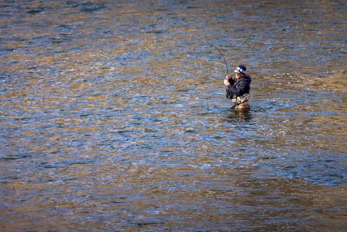 Midge fishing While an important food source for trout throughout the year, midge fishing peaks for anglers in Montana during the late winter and early spring.