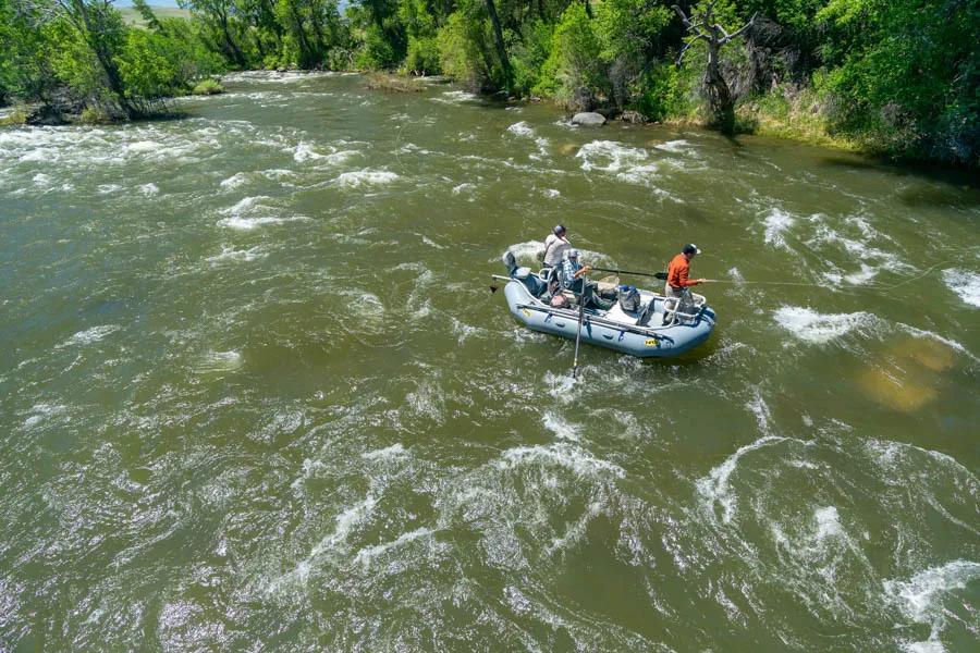 Montana attractor dry fly fishing Fishing attractor dry flies on boulder choked rivers can offer fast action!