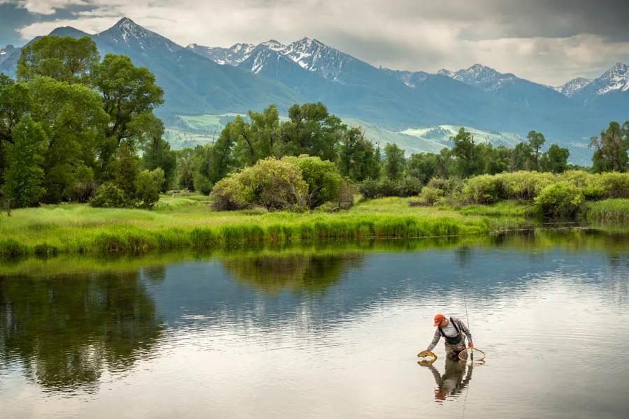 Montana spring creek fly fishing Montana spring creeks offer excellent hatches in the spring and early summer