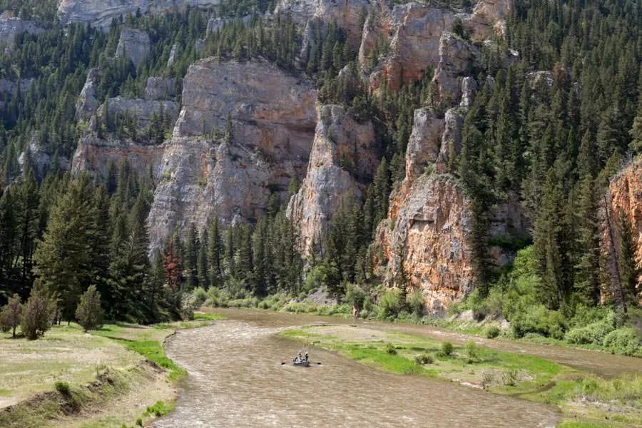The Smith River often runs more dirty than many other Montana freestones but that doesn't stop the river's fish from feeding.