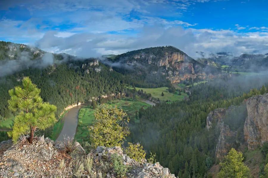 Be sure to take a break from fishing and pick up your head to look at the amazing scenery on the Smith River. 