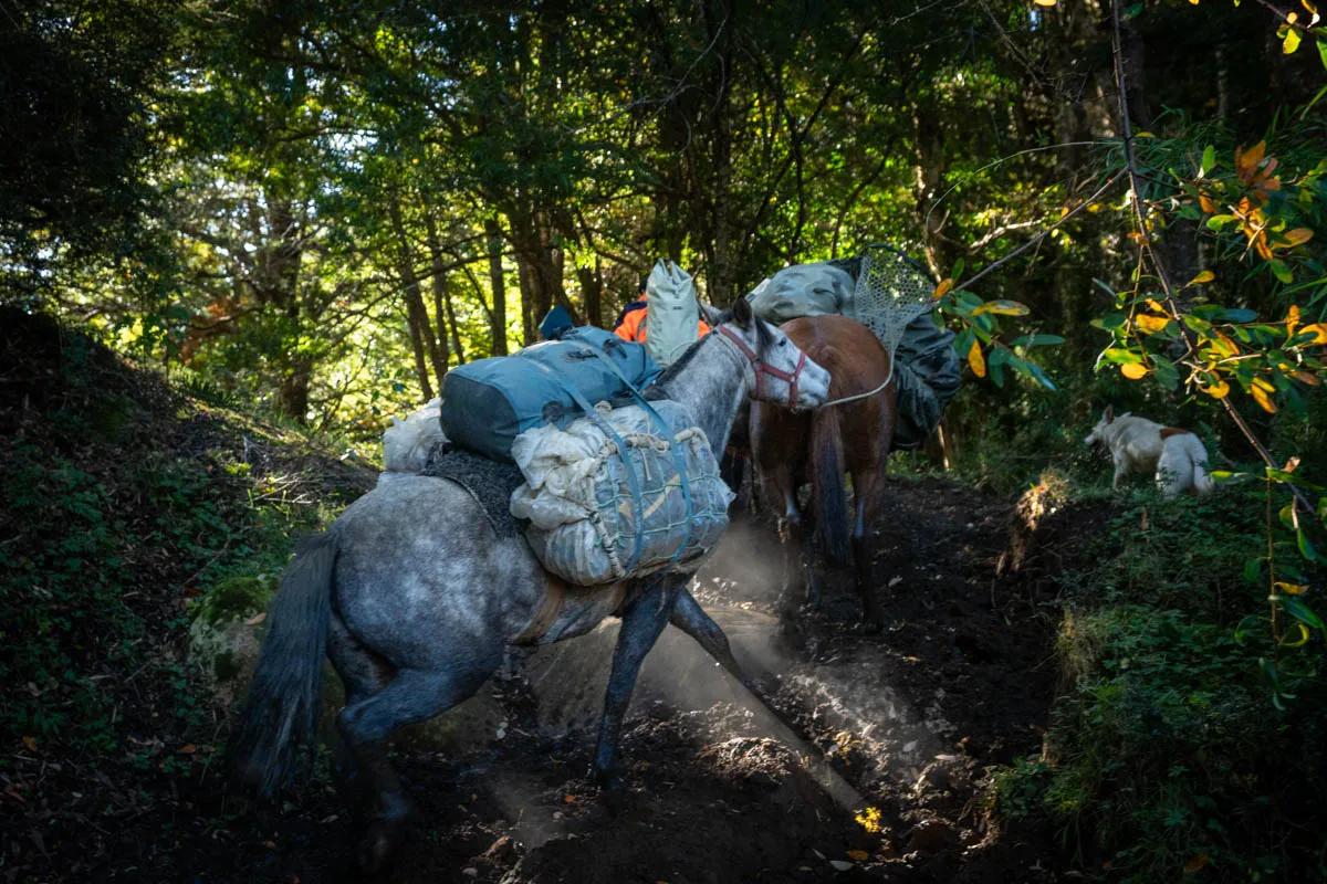 Rugged country made for a thrilling horseback ride on the Río Blanco.