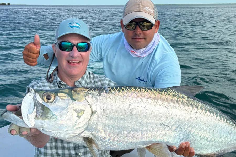 Tarpon in Cayo Largo Dave landed the big tarpon of the week. The western zone of the Cayo Largo region sees some large migratory tarpon during peak months from mid March through June. The rest of the islands also have some big tarpon that come in off of the reef side to feed at high tide. Juvenille tarpon are also frequently encountered in mangrove lagoons.