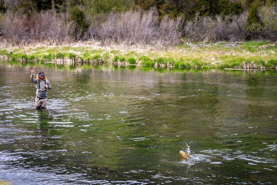Shallow water and sight casting to rising fish often means a longer leader is crucial.