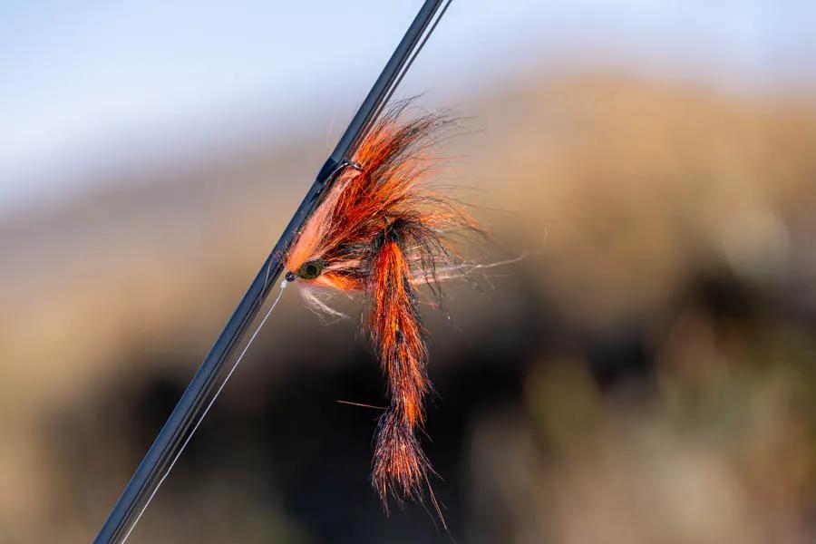 Big flies for Taimen No fly is too big for a taimen. We found that we had to find a balance between the biggest fly in the box and one that we could cast all day. Flies in the 7-12" range were the perfect recipe