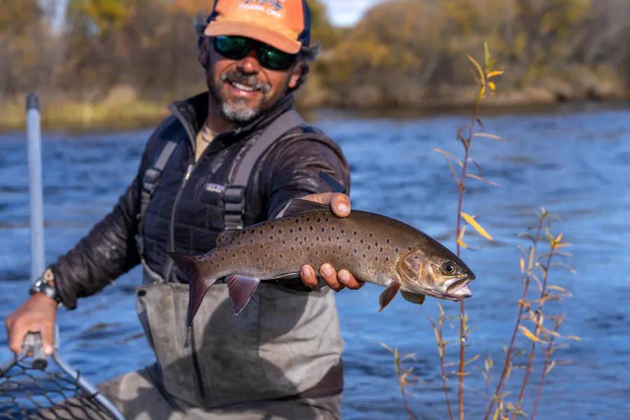 Amur trout We landed several of the beautiful Amur trout. Most of these we caught on mouse patterns and gurglers on the surace while hunting for taimen. These were typically 16-24" in size