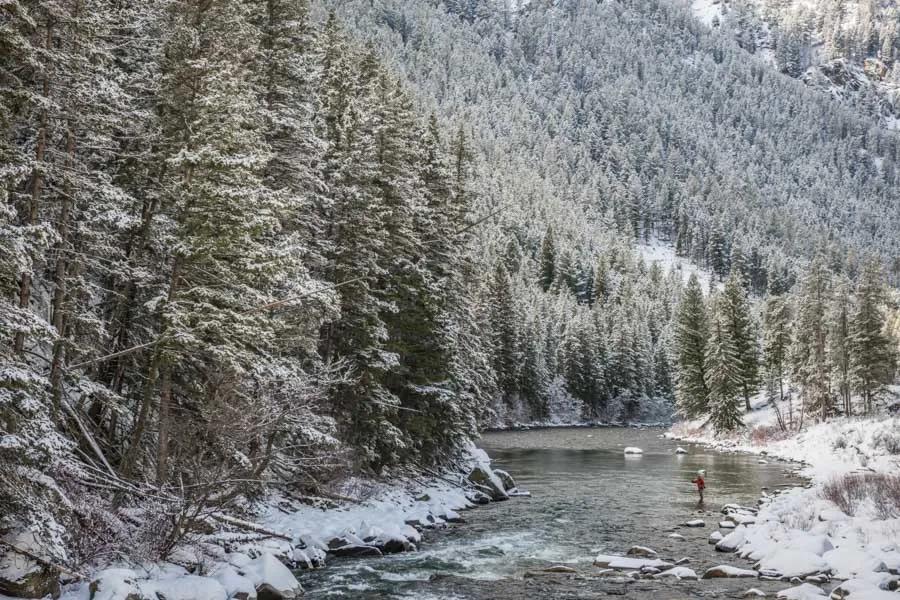 Choosing between freestones, spring creeks, and tailwaters is important for success when fly fishing in winter. 