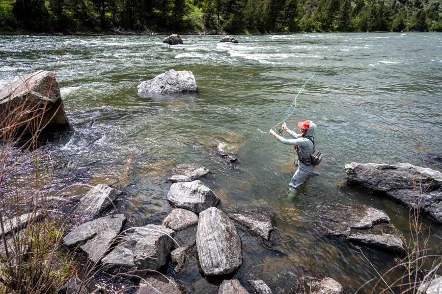 The Lower Madison and Bear Trap Canyon west of Bozeman, Montana is a reliable fishery for spring time fishing in Montana.