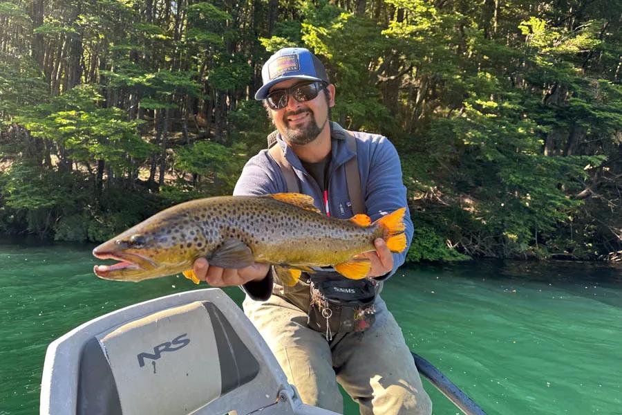 Big Brown Trout in Patagonia Patagonia Fly Fishing