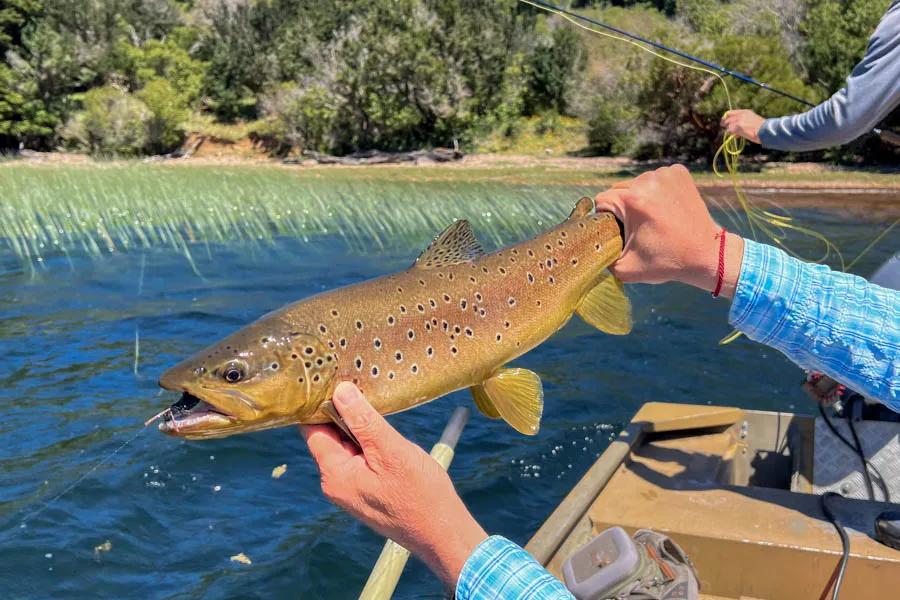 Patagonia Guided Fly Fishing Patagonia Fly Fishing Trips