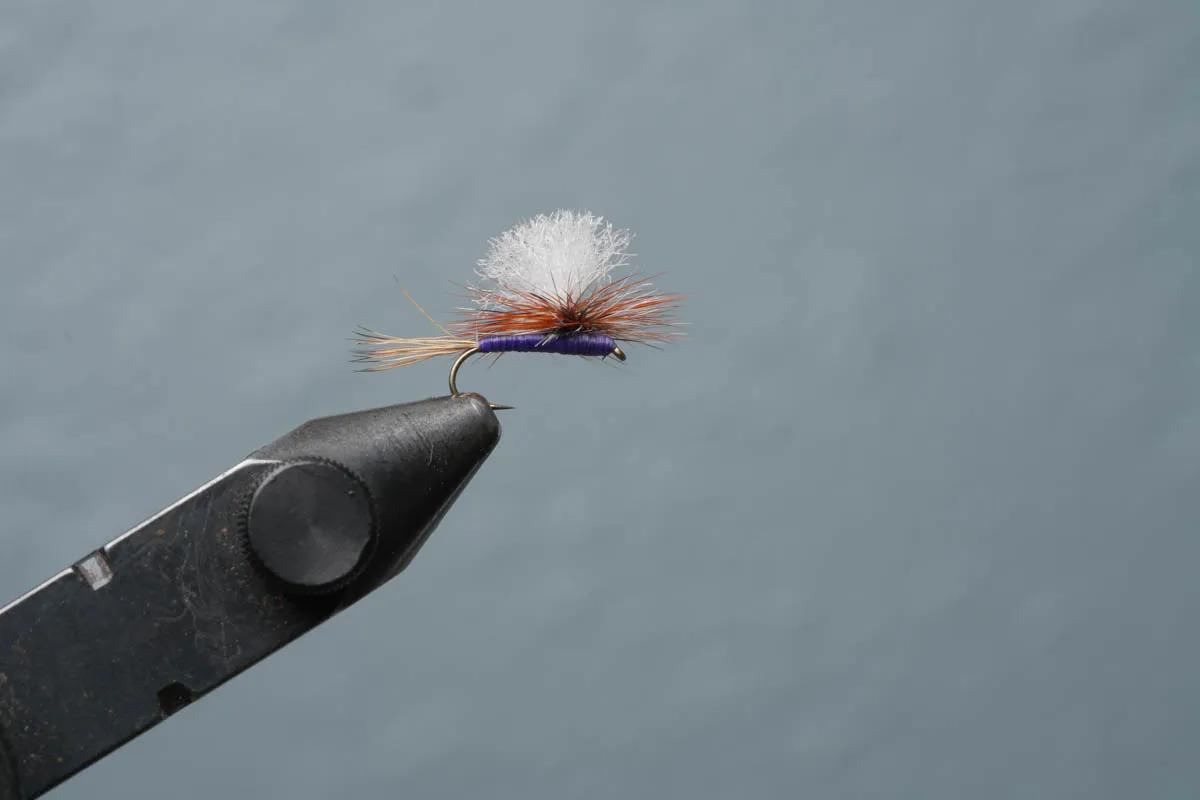 A modern twist on a classic favorite, the Parachute Purple Haze is a very successful fly for trout from New Zealand to Patagonia and anywhere else trout swim.