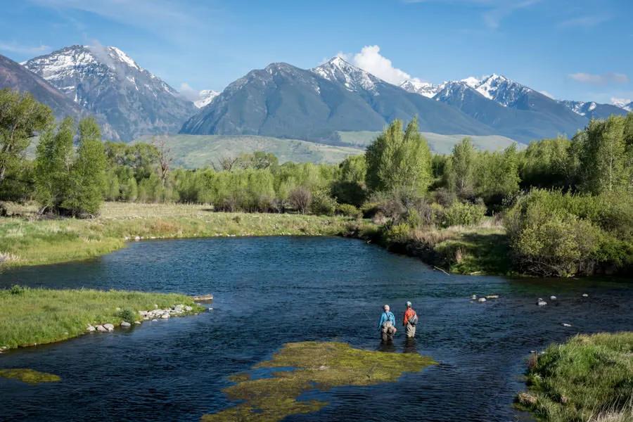 The Paradise Valley Spring Creeks offer some of the most consistent fishing in the Yellowstone Valley. Fishing these creeks is special experience .