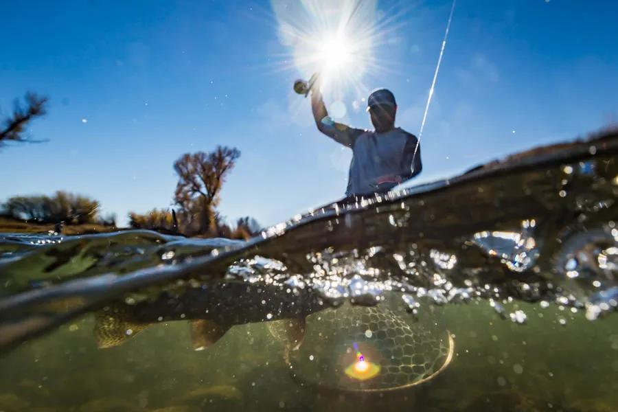 Yellowstone River in Montana Montana fly fishing trips on the Yellowstone River and near Bozeman