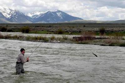 Montana April Fly Fishing