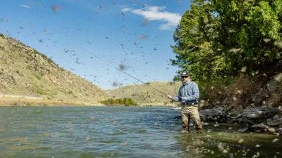 Mother's Day Caddis Hatch Madison River 