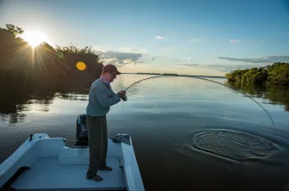 These fish put a healthy bend in the rod