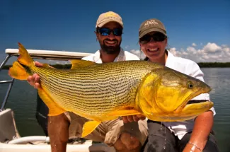 A trophy Golden Dorado