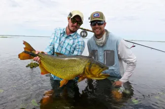 Another hefty golden dorado taken on a fly