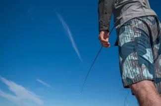 A jumping golden dorado