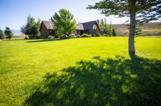 Beautiful scenery at the Madison River Lodge