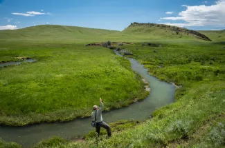 Montana spring creeks