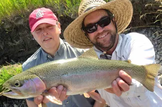 Heavy and healthy rainbow trout