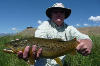 Fly fishing in Montana