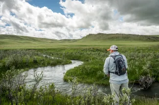 Angler fishing on a spring creek