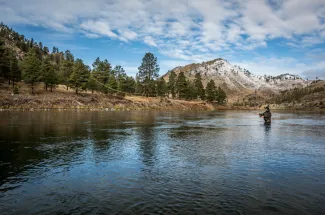 Missouri river brown trout fishing