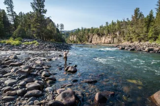 Trout live in beautiful areas