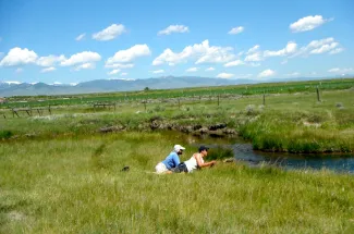 Spring creek fishing