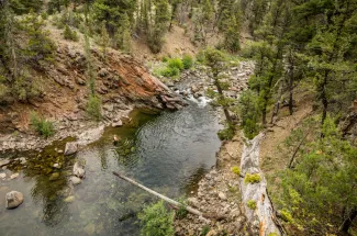 Remote Montana river fishing