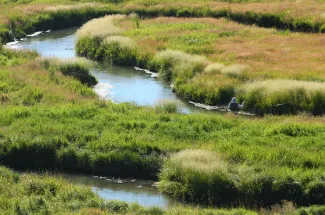 Fly fishing spring creek