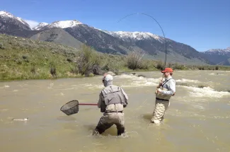 Madison river fly fishing