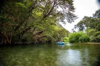 Gin clear waters in Los Alerces National Park